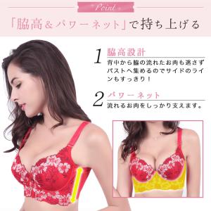 ブラジャー ショーツ セット 脇肉 育乳ブラ ...の詳細画像4