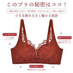 盛れる ブラジャー ノンワイヤー ショーツ セ...の詳細画像5