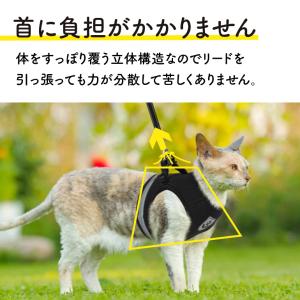 猫 犬 ハーネス リード ペット 胴輪 首輪 ...の詳細画像4