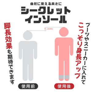 シークレットインソール 左右セット 中敷き イ...の詳細画像1