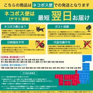 水着 レディース チェック柄 フレア フリル ...の詳細画像3