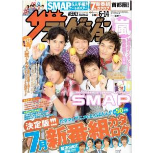 ザテレビジョン 2013/No.23・SMAP スマップ 中居正広