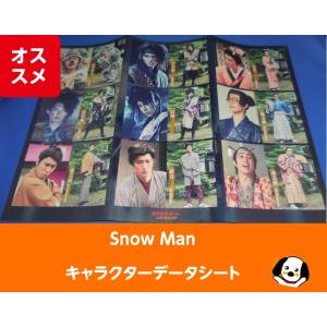 Snow Man(スノーマン)「滝沢歌舞伎ZERO 2020THE MOVIE」購入特典 キャラクターデータシート A3サイズ