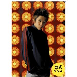 嵐グッズ 二宮和也 公式下敷き「嵐が春の嵐を呼ぶCONCERT 2001」