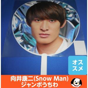 向井康二 アクリルスタンド 美品 ジャニーズアイランドストア第2弾