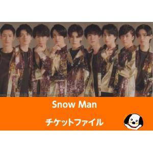 Snow Man(スノーマン) チケットファイル「'20夏」公式グッズ