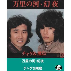 万里の河・幻夜/チャゲ＆飛鳥 見本盤 EPレコード シングルレコード