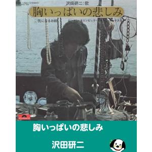 胸いっぱいの悲しみ/沢田研二 EPレコード シングルレコード