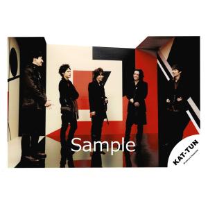 KAT-TUN 集合(5人体制) 公式生写真 FACE to Face・衣装黒・全身・真ん中亀梨・背景赤×黒×ベージュ｜arraysbook