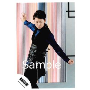 嵐 衣装japonism コレクション 趣味 の商品一覧 楽器 手芸 コレクション 通販 Yahoo ショッピング