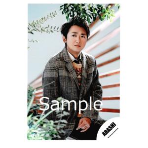 大野智(嵐) 公式生写真 君のうた・衣装グレー×茶色・口閉じ・目線左