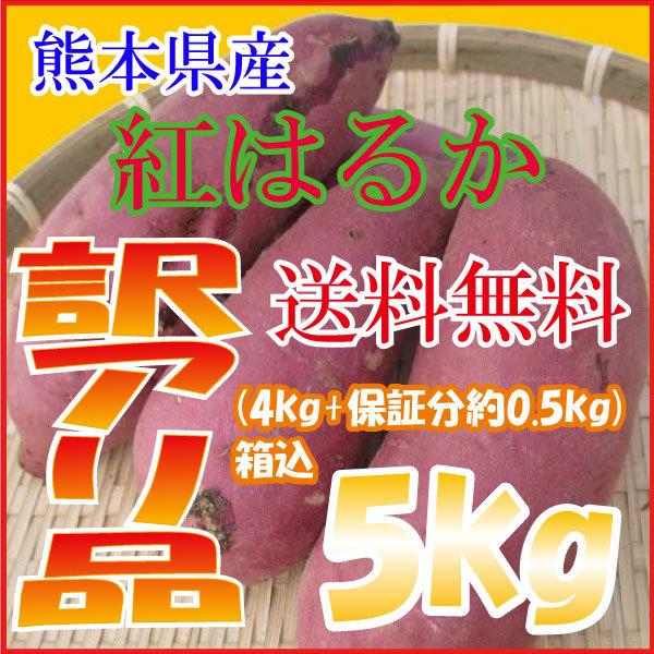 さつまいも 紅はるか 5kg 箱込 約5kg 熊本県産 訳あり品 送料無料 生芋 北海道・沖縄県・離...