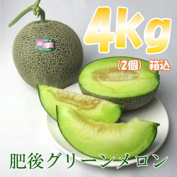 肥後グリーンメロン 2玉（箱込約4kg） 熊本県産 秀品 送料無料（北海道・沖縄県・離島除く）