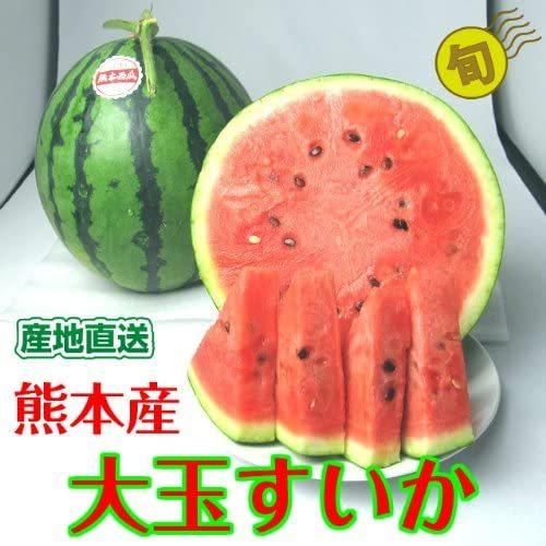 大玉すいか 7kg以上 一玉 熊本県産 スイカ 西瓜 送料無料 北海道・沖縄県・離島除く