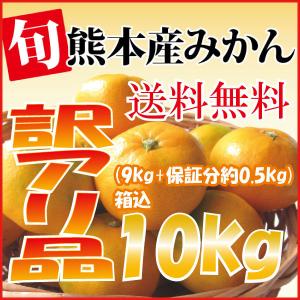 みかん 10kg 箱込 訳あり 送料無料 内容量9kg 補償分500g 熊本県産 訳あり品