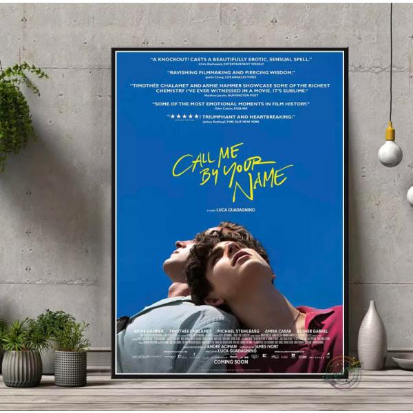 ティモシー・シャラメ 君の名前で僕を呼んで ポスター 70x50cm 海外 Chalamet Cal...