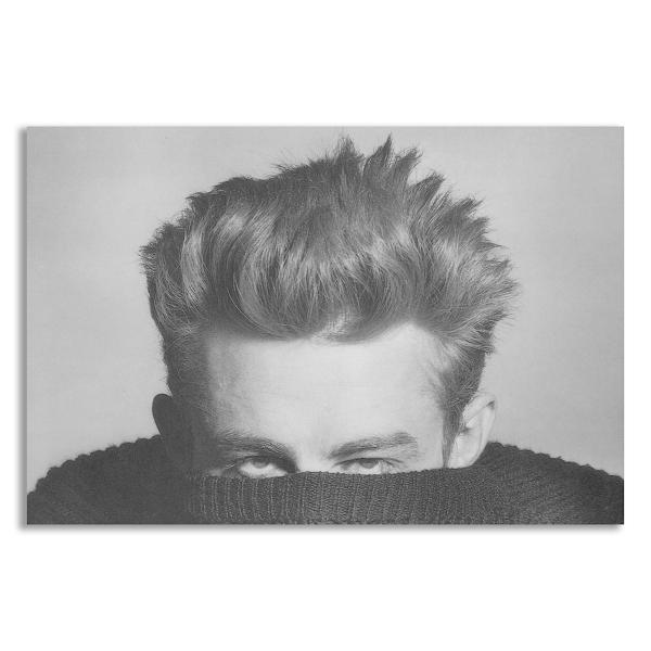 ジェームズ・ディーン  James Dean ポスター ボード パネル フレーム 75x50cm 海...