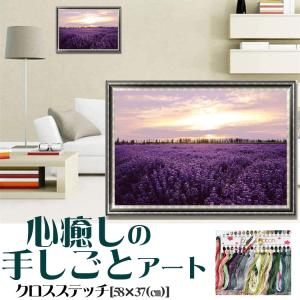 クロスステッチ 刺繍キット 手芸 Diy ラベンダー草原 図案 綺麗 花 幸せが来る 初心者 簡単 刺繍 指ぬき 糸通し付き 送料無料 日本語解説付き 壁アート 部屋飾り Mo34 B アルシオン 通販 Yahoo ショッピング