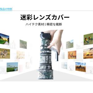 キャノン(Canon)RF100-300mm ...の詳細画像1