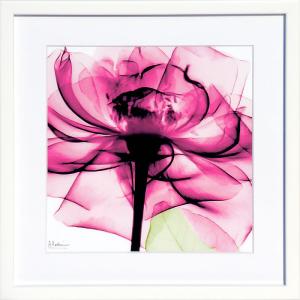 サルバドール ダリ 絵画 ポスター 絵 アートパネル アートポスター