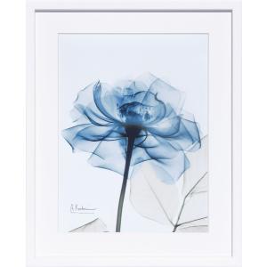 レントゲンアート 絵画 ポスター 絵 アートパネル アートポスター
