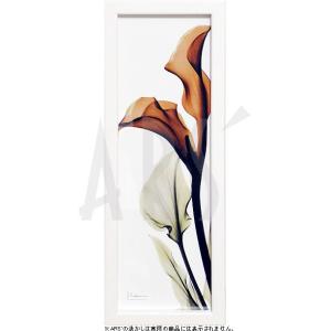 レントゲンアート 花 x-ray art アートパネル アートポスター アートフレーム 壁掛け タペ...