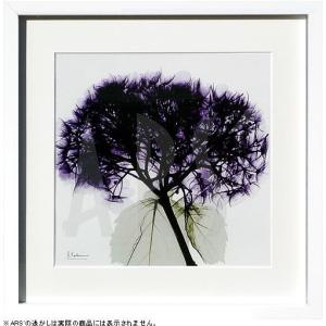 アンリマティス 絵画 ポスター 低木 金魚 窓 鳥 青 アートパネル