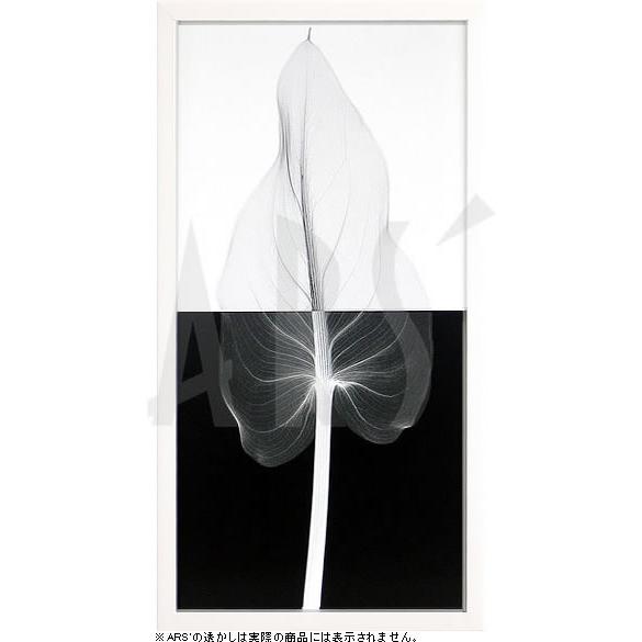 レントゲンアート 花 x-ray art アートパネル アートポスター アートフレーム 壁掛け タペ...