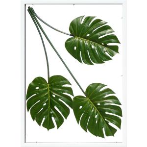 リーフパネル リーフアート リーフフレーム アートパネル フェイクグリーン 壁掛け 造花 インテリア...