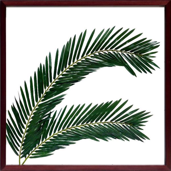 リーフパネル リーフアート リーフフレーム アートパネル フェイクグリーン 壁掛け 造花 インテリア...