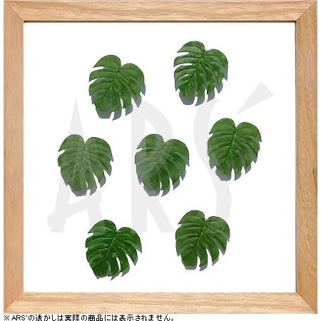 インテリアアート/リーフアートパネル　プラントフレーム　モンステラ ミニ(タペストリー/ウォールアー...