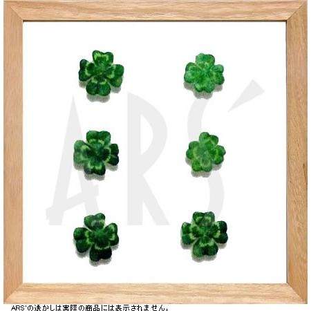 インテリアアート/リーフアートパネル　プラントフレーム　クローバー(タペストリー/ウォールアート/絵...