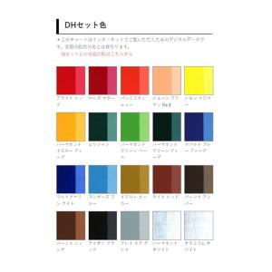 ホルベイン 油絵具 DHセット 20ml 18...の詳細画像2