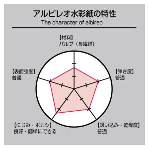 ホルベイン 水彩紙 アルビレオ 1 4色紙 1...の詳細画像3