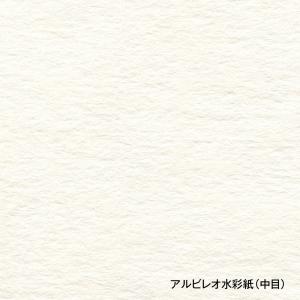 ホルベイン 水彩紙 アルビレオ 1 4色紙 1...の詳細画像4