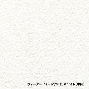 ホルベイン ウォーターフォード水彩紙 ホワイト...の詳細画像1