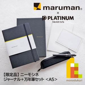 マルマン Mnemosyne (ニーモシネ) ×プラチナ万年筆 PLASIR (プレジール) ジャーナルノートと特別仕様万年筆セット (MNXPM)の商品画像