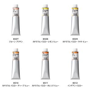 ホルベイン 習作用油絵具 アカデミック160m...の詳細画像2