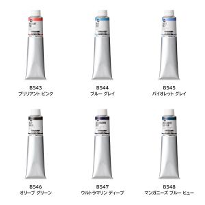 ホルベイン 習作用油絵具 アカデミック160m...の詳細画像2