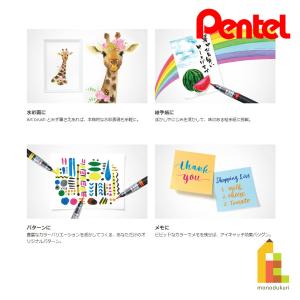 ぺんてる アートブラッシュ 単色 全18色 X...の詳細画像3