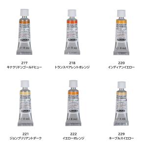シュミンケ ホラダム 透明水彩絵具 2号 5m...の詳細画像2