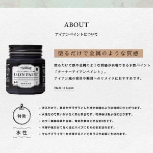 ターナー アイアンペイント 200ml 【全8色】の詳細画像1