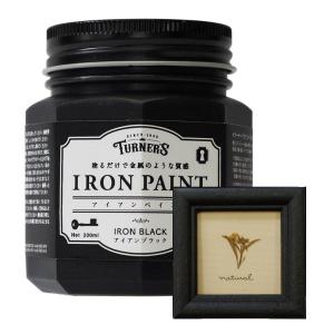 ターナー アイアンペイント 200ml 【全8色】の詳細画像3