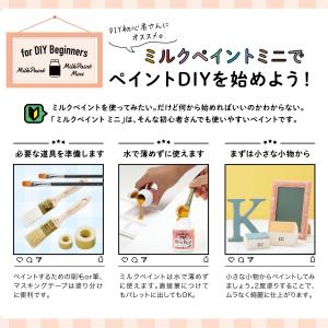 ターナー ミルクペイントMINI 70ml 【...の詳細画像3