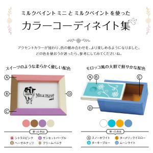 ターナー ミルクペイントMINI 70ml 【...の詳細画像4