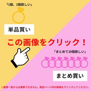 チャーム キーホルダー 楕円 ナスカン 1個 ...の詳細画像5