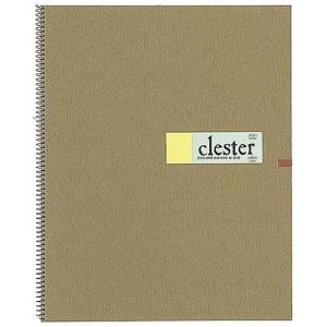 ホルベイン クレスター水彩紙 中目 F4 スプリング CS-F4