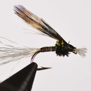 即納 ダイワ DAIWA グローブライド フライリール ロッホモアSLA 3/4 5