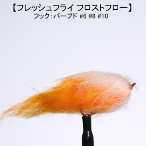 サーモンフライ フレッシュフライ フロストフロー