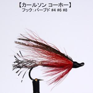 サーモンフライ カールソンコーホー (#4 #6 #8) フライ 完成品フライ ルアー 釣り 川 渓流 管理 エリア